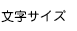 文字サイズ